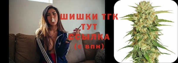 гидра Аркадак