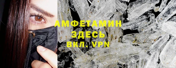 гидра Аркадак