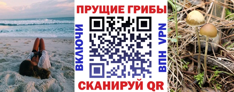 Галлюциногенные грибы мицелий  omg рабочий сайт  нарко площадка клад  Армянск 